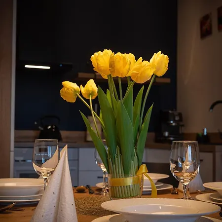 Trevilles Widokowy Vip Апартаменты *