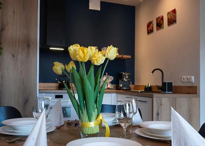 Apartment Trevilles Widokowy Vip Swieradow-Zdroj